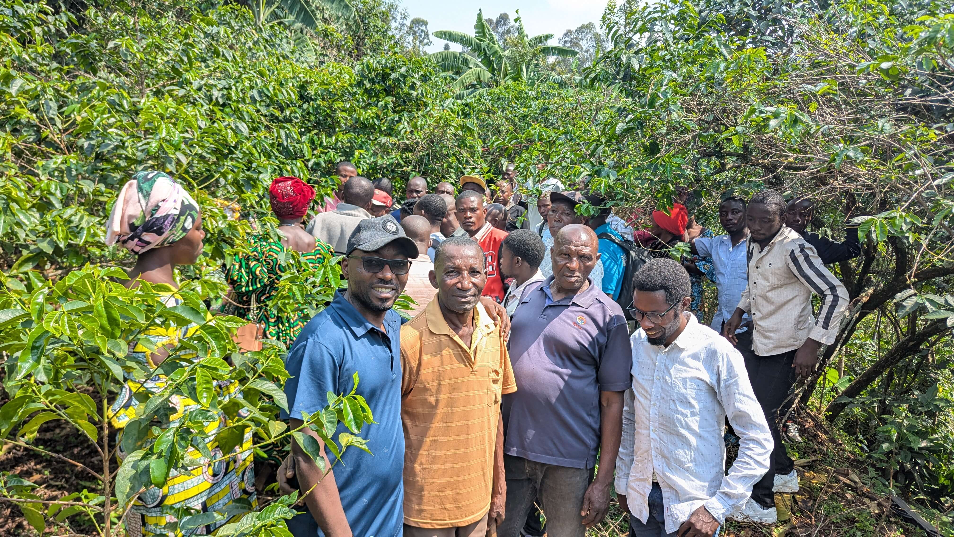 Des Champs Écoles pour un café plus productif et durable à Kalehe